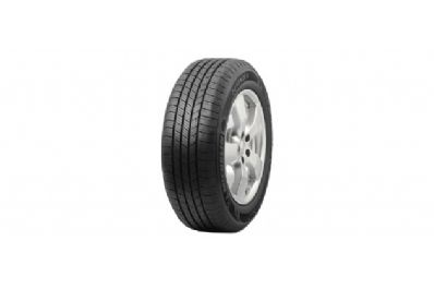 Michelin Defender