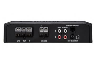 Rockford Fosgate R500X1D